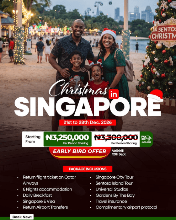 Make This Christmas One to Remember